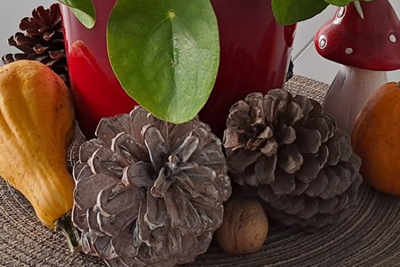 Wir wünschen allen erholsame Ferien und eine schöne Zeit